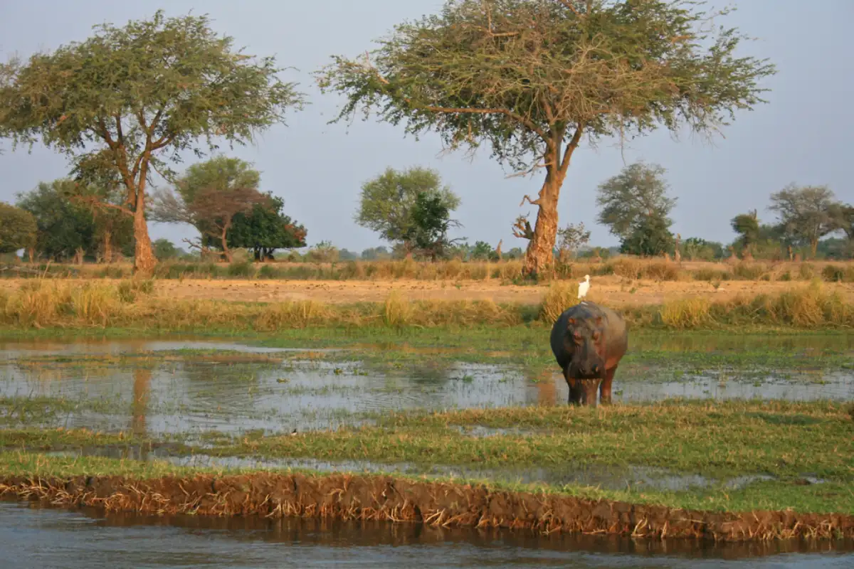 14 Days Safari Rediscover Zimbabwe